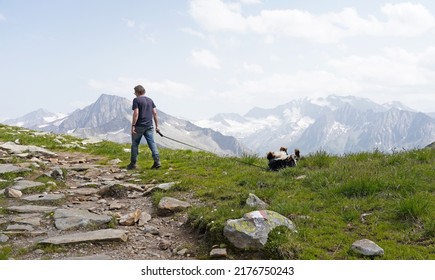 Man And Bernese Mountain Dog Walking In The Alps 