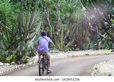 A Man Biking In The Cactus Park Bogor Botanical Garden In The Morning