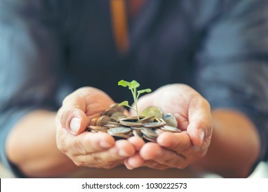 Man in black shirt holding coins with small tree, growing on money saving for retirement and using for expense in future. Investment planner is for bonds or real estate. Saving, investment concept