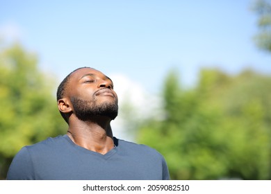 Man with black skin breathing fresh air in nature a sunny day