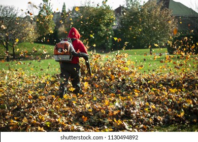 56,727 Leaves Blowing Images, Stock Photos & Vectors | Shutterstock