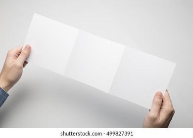 Man In Blue Shirt Is Holding A Square Tri-Fold White Paper Flyer.