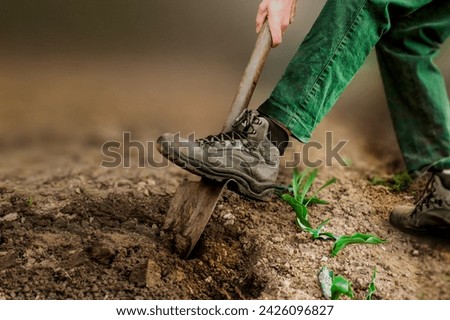 Man boot or shoe on spade prepare for digging. Farmer digs soil with shovel in garden, Agriculture concept spring detail.