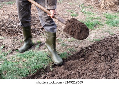 A Man In Boots Working In The Garden Digs Black Soil. Close-up Of A Shovel Digging. A Worker With A Shovel Digs A Garden Bed During Agricultural Work. Concept - A Man With A Shovel Digs A Garden Bed