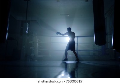 Man Boxer Training For A Hard Fight.