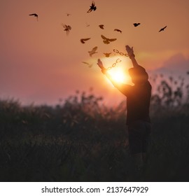 The Man Is Breaking The Chains And Setting The Birds Free, Enjoying The Nature At Sunrise. Concept Of Freedom