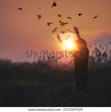 The man is breaking the chains and setting the birds free, enjoying the nature at sunrise. concept of freedom