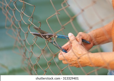 A Man Breaking Down The Fence With A Cutter. Immigration Concept