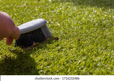 Man brushing rubbish on artifiicial grass turf with a hand brush in sunshine.  Garden chore concept