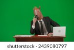Man in business suit with horse head mask on studio green background. Businessman sits at desk, says something and points his hand to the sides. Concept of heavy office work.