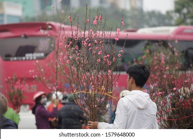 A Man Buy Cherry Branch For Tet Holiday At Flower Market On Street (Hanoi, Vietnam)