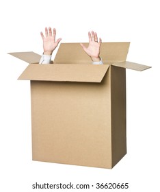 Man In A Cardboard Box.