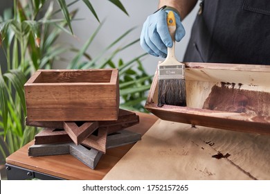 Man carpenter varnishing wooden crate for flowers with brush in her small business woodwork workshop. In your work, do you use stains or wood preservatives to show the wood pattern.