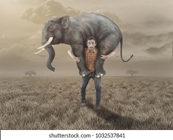 Man Carries An Elephant In The Field.