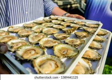 A Man Carries A Tray Of 30 Galway Oysters At The International Oyster Festival.A Man Carries A Tray Of 30 Galway Oysters At The International Oyster Festival.