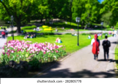 Man Carrying A Red Bag Cello In The Spring Green Park With Tulips And Lawn