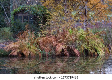 Man Cave Amongst The Autumn Trees