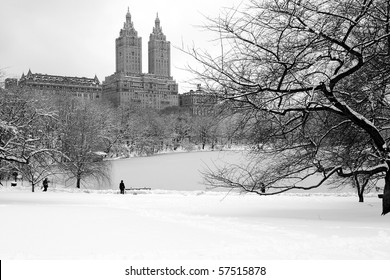 Man in Central Park During Blizzard