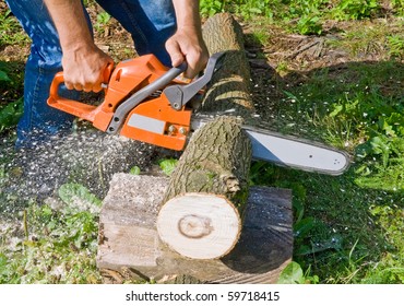 Man With Chainsaw Cutting The Tree