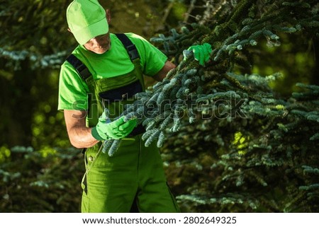 A man is checking the branches of a tree in a forest. He is dressed in green work clothes and wearing gloves. The setting is lush with greenery under natural light. The time is not specified.