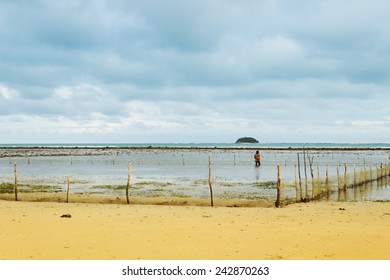 Man checking a net at the beach