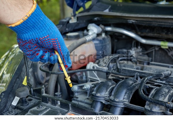 A man checks the oil level in the car's
engine. Car care and
maintenance.