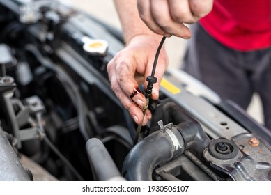 A man checks on the oil of a car.