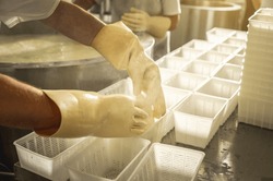 cookie making machine in the factory Stock Photo by Lobachad