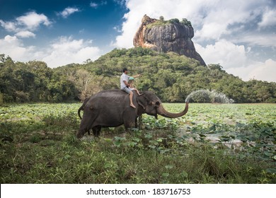 Man and child riding on the back of elephant with rock of Sigiriya as backdrop - Powered by Shutterstock