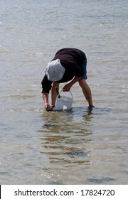 Man Clam Digging  At The Beach