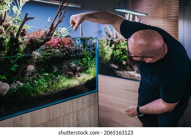 Man cleaning aquarium and cutting underwater plants.