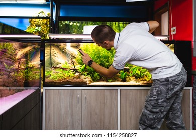 Man Cleaning Aquarium Using Magnetic Fish Tank Cleaner. 