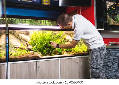 Man Cleaning Aquarium Using Magnetic Fish Tank Cleaner. 
