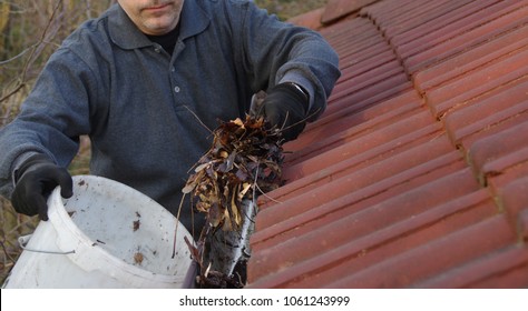 Man cleaning dirty gutter from moss and leaves. Building with unclean tile roof after winter. Spring cleaning.