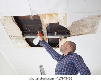 Man Cleaning Mold On Ceiling.Ceiling Panels Damaged  Huge Hole In Roof From Rainwater Leakage.Water Damaged Ceiling .