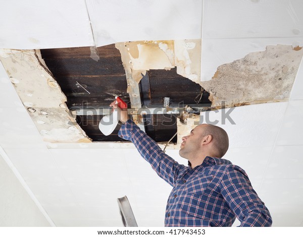 Man Cleaning Mold On Ceilingceiling Panels Stock Photo Edit Now
