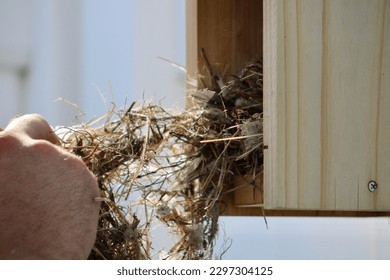 A man cleaning out an abandoned bird's nest from a wooden bird house.