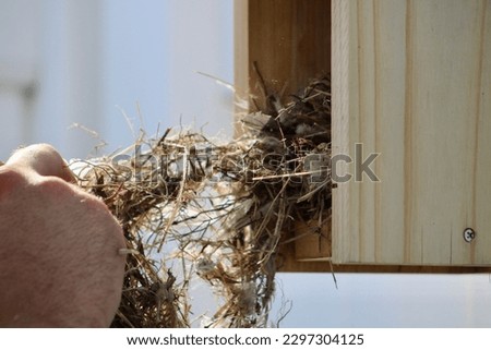 A man cleaning out an abandoned bird's nest from a wooden bird house.