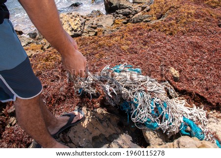 A man cleaning up a pile of tangled turquoise and white rope ghost fishing nets, abandoned gear washed up among a carpet of sargassum seaweed in Bathsheba, Barbados. 