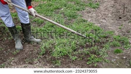 a man cleans weeds in the garden. Spring cleaning on the farm. selective focus