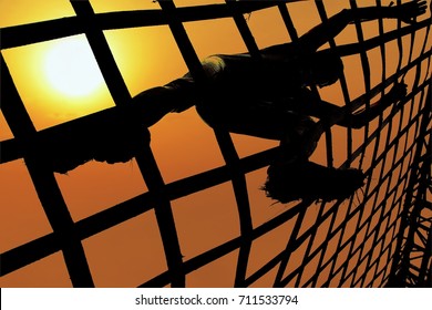 Man climbing a net during sunset. Spartan and gladiator race concept. - Powered by Shutterstock