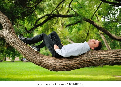 The Man Climbing A Tree