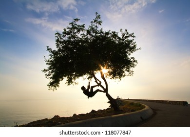 the man climbing a tree