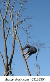 The Man Climbing A Tree (Unsafe)