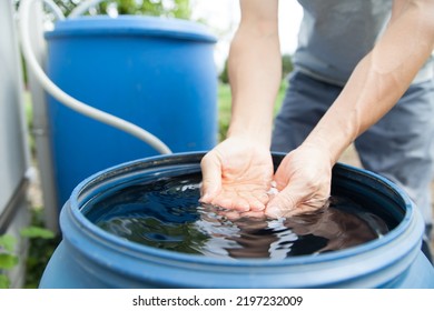 Man Collecting Rainwater In Barrel