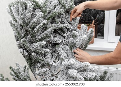 Man collects a Christmas tree. Straightening branches. Christmas tree with artificial snow - Powered by Shutterstock