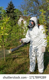 Man in Coveralls With Gas Mask Spraying Orchard With Backpack Atomizer Sprayer. Farmer in Protective Clothing Spraying Orchard in Springtime. Farmer Sprays Trees With Toxic Pesticides or Insecticide.