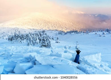 A man covered with a snow avalanche stretches out his hand to help. Danger extreme concept - Shutterstock ID 1040028556