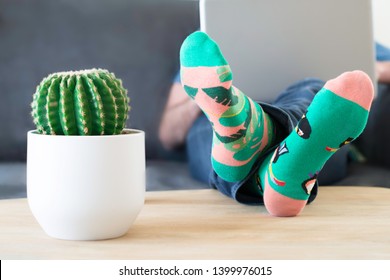 A Man In Crazy Multi-coloured Socks With Feet And A Cactus On Table. Man Working On A Laptop Computer At Home