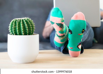 A Man In Crazy Multi-coloured Socks With Feet And A Cactus On Table. Man Working On A Laptop Computer At Home